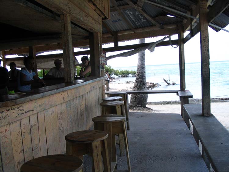 caulker-04-lazy-lizard