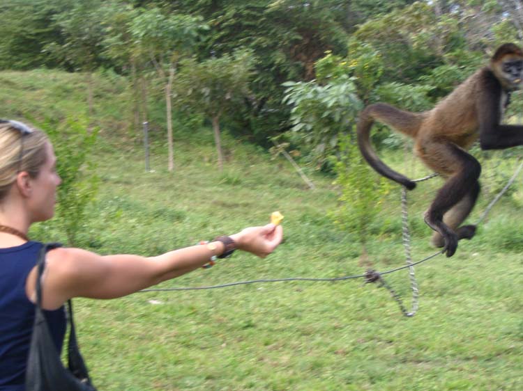 cr-coco-08-monique-monkey