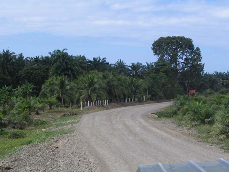 golfito-06-dirt-road