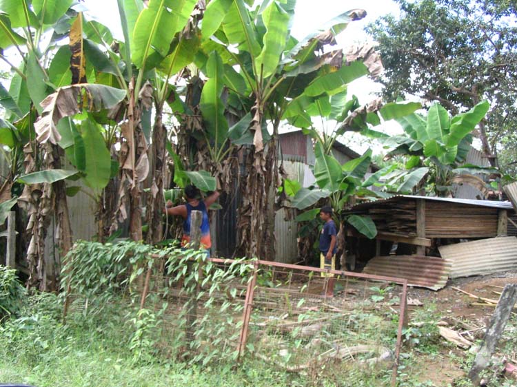 golfito-10-local-yokel