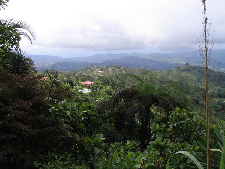 golfito-18-more-view