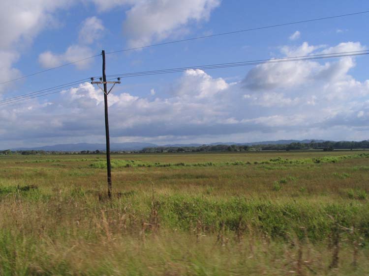 golfito-24-texas-like