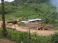 golfito-15-lumber-mill