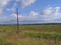 golfito-24-texas-like