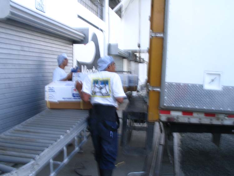 quepos-17-pack-pack-pack