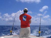 trolling for sailfish