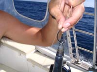 quepos-57-holding-rigged