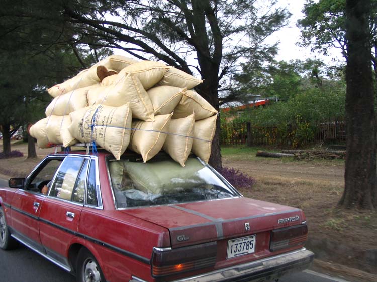 cr-sanjose-12-carrying-stuff