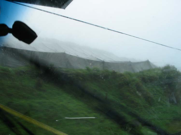 viejo-04-viejo-15-shade-cloth