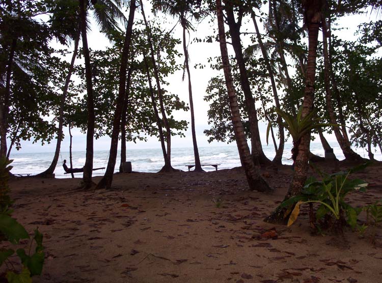 viejo-14-viejo-04-rocking-js