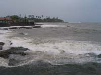 viejo-05-viejo-16-p-limon