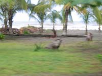 viejo-49-viejo-57-land-strip