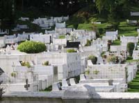 viejo-50-viejo-58-tiled-graves