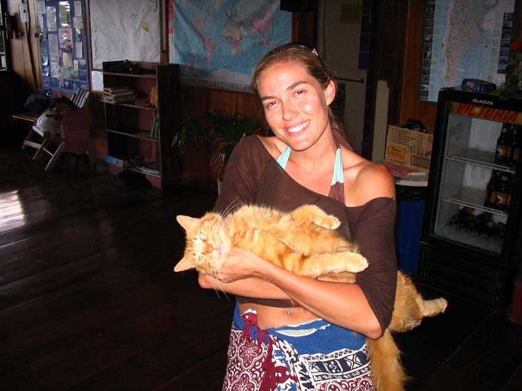 n-apoyo-15-m-and-cat