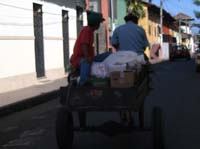 n-apoyo-18-donkey-cart