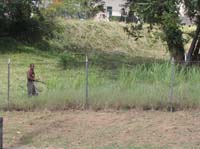 pan-city-27-chopping-grass